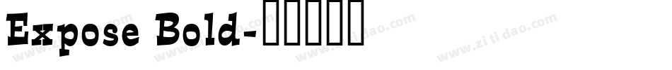 Expose Bold字体转换